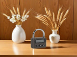 Rechargeable Electronic Time Padlock Metal Timer Lock with LCD Display Zinc Alloy for Home V1369-AZ3-W-14633