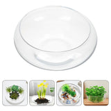 Clear Glass Planter Pot for Small Plants, Decorative Flowerpot Container, Fish Bowl, and Terrarium V1192-AZ-W-28523