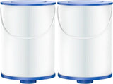 303279 Lifesmart Hot Tub Filter Compatible with AquaTerra Spa Filter Replaces, Filbur FC-2402, V1258-DP02-C-1055