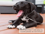 Dog leash cable - 5mm * 3m - stainless - silver - dog chains - with double fastening stainless V1188-NK-BOL-635