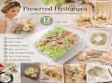 Warm Mixed Shade Preserved Hydrangea Craft Accessory Large Bulk Pack 12 Pack V1221-XM-LB822-ZS19