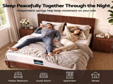 Giselle 25cm Queen Hybrid Mattress Soft Knitted Fabric Edge Support Gel Foam MATTRESS-B-HAVEN-25-Q