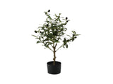 Potted Artificial Olive Tree 65cm V637-05069TRE