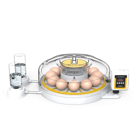 Automatic 12 Egg Incubator - Electric Digital Turning Chicken Quail Duck Hatching V238-SUPDZ-41052083978320