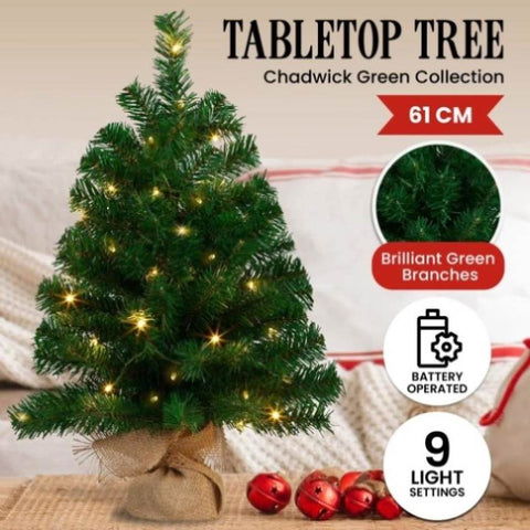 61cm Chadwick Green Pre-Lit Tabletop Christmas Tree 112_OPCG2P