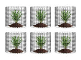 6 Pack Plant Protector from Animals, 320mm Dia. x 355mm H Chicken Wire Plant Protector, Plant Cages V952-QBWZCL14YCHS4N9UIV0