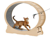 Cat Exercise Wheel, 120cm Wooden Cat Running Wheel for Indoor Cats up to 12.7kg Cats Treadmill with V952-MZMPBJMWSMDB3W6JK001V0