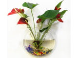 1 Set Fish Tank Decorative Wall Mounted Hanging Flower Vase-Transparent V1263-JX-446
