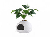 i.Pet Cat Litter Box Hidden Litter Tray Enclosure Planter Furniture House White PET-CLB-PLANT-WH