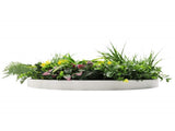 Slimline Artificial Green Wall Disc Art 60cm Country Fern UV Resistant V637-DP9964