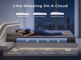 Levitex King Single Mattress 25 cm Hybrid Pocket Spring with 4cm Egg Crate Foam for Deep Sleep MATTRESS-LV-LUMINA-25-KS