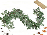 6ft Fall Garland Artificial Autumn Leaf Garland - Indoor Outdoor Decor V1369-AZ3-W-08057