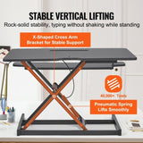 Standing Desk Converter, Two-Tier Stand up Desk Riser, 800 mm Large Sit to Stand Desk V952-ZMSJTSDXSX315ZZZAV0