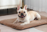 2Pcs Pet Blanket Self-Heating Bed Pad Cat Dog Self-Warming Cushion-Khaki L V1263-JX-7509-3