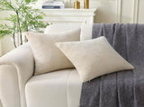 18" x 18" Decorative Throw Pillow with Inserts, Set of 2 Soft Modern Farmhouse Weave Pattern Throw V1258-DP02-C-3207