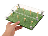 Transparent Golf Ball Display Box with Green Acrylic for Souvenir Display and Safety V1369-AZ3-W-14594
