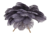 Feather Table Lamp USB Rechargeable Ostrich Feather Desk Light with Gold Tripod for Bedroom 40Pcs V1294-YM0703-3119230059515