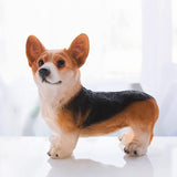 Dog Statue Vivid Cute Style Small Compact Resin Material Corgi Ornament for Gardens Indoor Desks V1294-YM0717-3111220225012