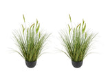 Artificial Grass, 2 Pack 889mm Cattail Grass in Pot, Premium PVC Faux Fake Greenery Shrubs V952-DPKXPLWCLS35CCHPH001V0