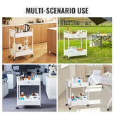 VEVOR Lab Cart, 2 Tiers Stainless Steel Utility Cart, Medical Cart with 2 Drawers, Rolling Lab Cart V952-SYSSTCB4Q235238MLV0