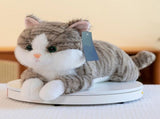 Weighted Cat Stuffed Animal Realistic Stuffed Cat Toy Throw Pillow Gray Weighted Stuffed Animals For V1366-AZ2-W-28060