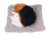 Simulation with Sound Lovely Vivid Novel Gifts Plush Plastic Material Toy Car DecorationBig V1294-YM0523-3115220002215