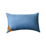 Hotel Grade Down Pillow 2 Pack - Soft Supportive Bed Pillow for Back Side and Stomach Sleepers V1366-AZ2-W-12994