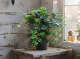 Potted Artificial Ivy Plant 43cm V637-84517PLN