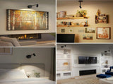 Picture Light for Wall, Operated Art Light for Paintings CCT Dimmable Recharging Gallery V1171-CB-BOM001240-2