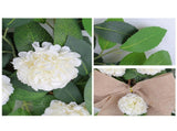 Artificial Hydrangea Wreath for Front Door Greenery Spring Summer Wreath with Bow Decor for Wall V1294-YM0901-240320HL07-1