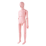 Nursing Training Manikin, Male Life Size Demonstration Human Manikin for Nursing Training, V952-HLRTMXDBLNXH3GWPCV0