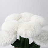 CATIO Blooming Flower 3-Level Cat Tree V390-C7178