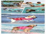 Size XL Grey Pet Life Jacket for Dogs - Summer Swimming Safety Vest with Shark Fin for Small to V888-ELOSUNG23302