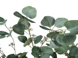 Artificial Eucalyptus Tree 150cm V637-DP7650015