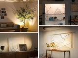 Spotlights Indoor, No-Glare Rechargeable Floor Can Light for Plants with Remote, Wireless Art Accent V1171-CB-BOM001241-2