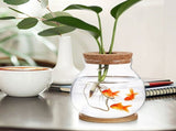 Transparent Glass Terrarium Planter for Home Decor, Minimalist Design, Indoor Plant Holder V1369-AZ3-W-12982
