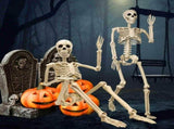 Halloween Skeleton 36-Inch Skeleton Poseable Skeleton Halloween Decorations - White - Size 1 Pcs V1107-129-72160-WHT-1PCS