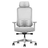 Lifespan Fitness DM8 Ergonomic Office Desk Chair V572-LFOC-DM8G