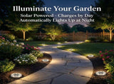 30pcs Solar Ground Lights IP68 Waterproof Warm Light High Brightness Auto On/Off Long Lasting V1163-TYN-B-30
