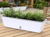 Rectangular Self Watering Planter, Plastic Window Box Planter with Water Level Indicator, Long V1366-AZ2-W-19709