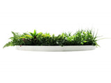 Slimline Artificial Green Wall Disc Art 80cm Country Fern UV Resistant V637-DP9965