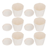 6Pcs Small Plant Pot Lightweight Versatile Simple Style Plastic Flower Pot with Trays for Indoor V1294-YM0901-3111240201811