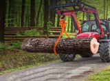 Log Skidding Tongs, 81.3cm 2 Claw Log Lifting Tongs, Heavy Duty Steel Lumber Skidding Tongs, 700 kg V952-YMQZQ32YC2ZBP6NXKV0