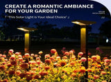 Solar Powered Pathway Lights with PET Laminated Monocrystalline Panel, NiMH Battery, and Black V1341-ZY-QWKSUGCK-2PCS-3000KWARMWHITE