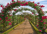 Metal Garden Arch Trellis Iron Plant Support Outdoor Climbing V178-66754