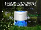 Black Portable Home Quiet Mini Dehumidifier - 2L Large Visible Water Tank, 7-Color Sleep Aid Night V888-ELOSUNG52669