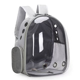 (GREEN)Replacement Transparent Pet Backpack with Zipper Closure - Heavy-Duty Structure, Ventilated V1106-CWBB002