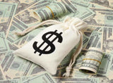 48 Pcs Canvas Money Bags Bulk with Drawstring Dollar Sign Sacks Pouch 4.3 x 7.1 Inch Cash Coin Props V1259-DP01-A-5584