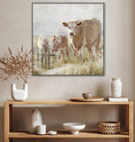 Cows In The Paddock Framed Canvas 80x80cm V637-E592466