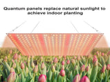 Plant Light LED Succulent Fill Light Full Spectrum Plant Grow Light IP20 Water Resistant Rating Heat V1294-YM0901-L6914EU-2